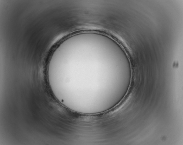 X0000103151163200808221121