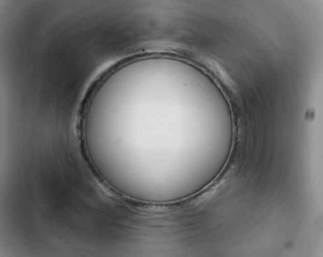 X0000103151164200808221121