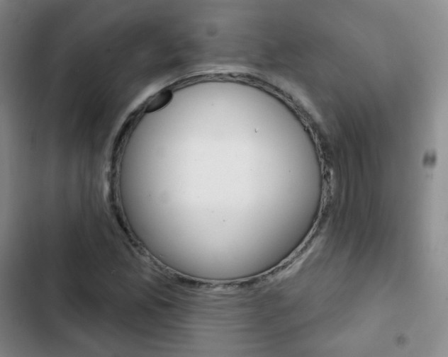 X0000103151165200808221121