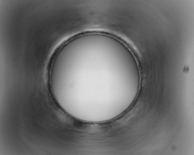 X0000103151167200808221121