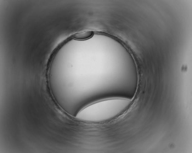 X0000103151168200808221121