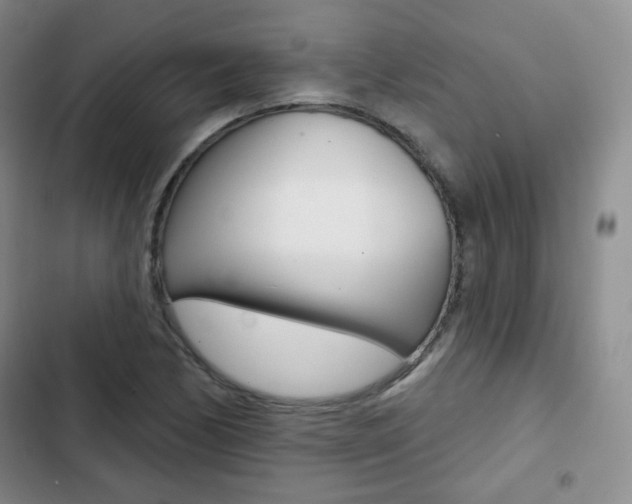 X0000103151170200808221121