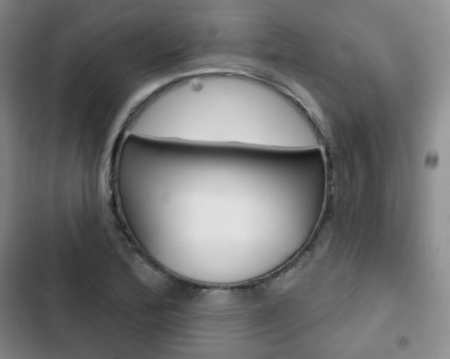 X0000103151172200808221121