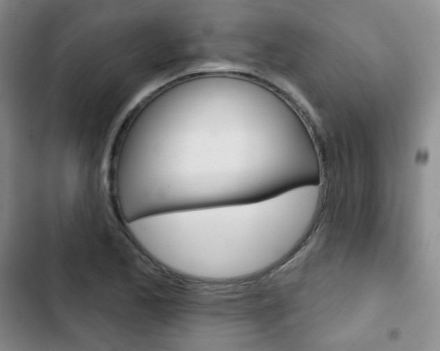 X0000103151173200808221121