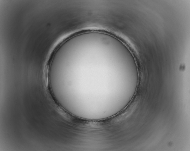 X0000103151175200808221121