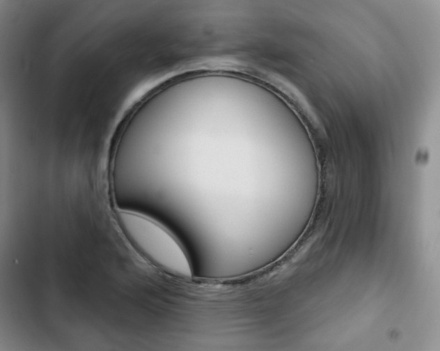 X0000103151176200808221121
