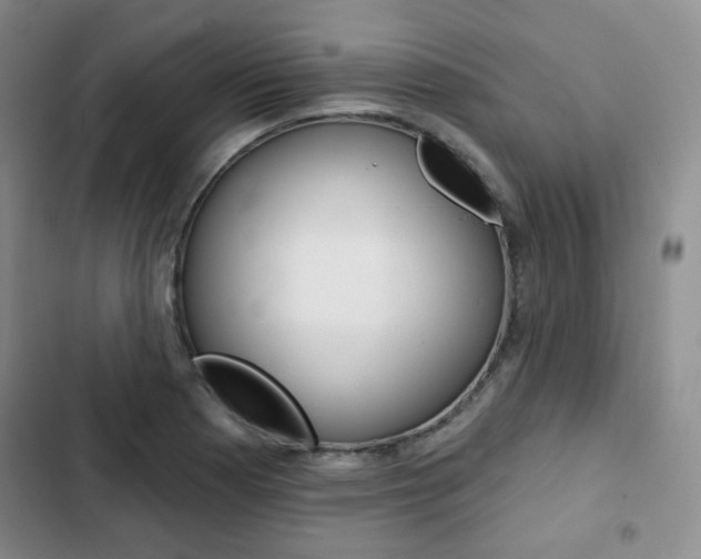 X0000103151177200808221121