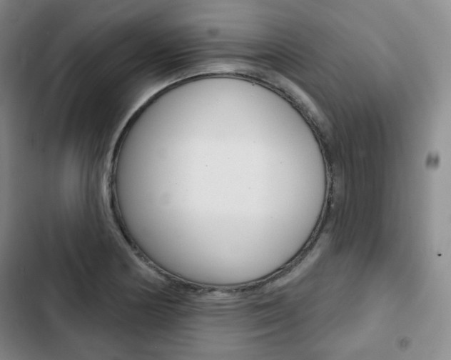 X0000103151178200808221121