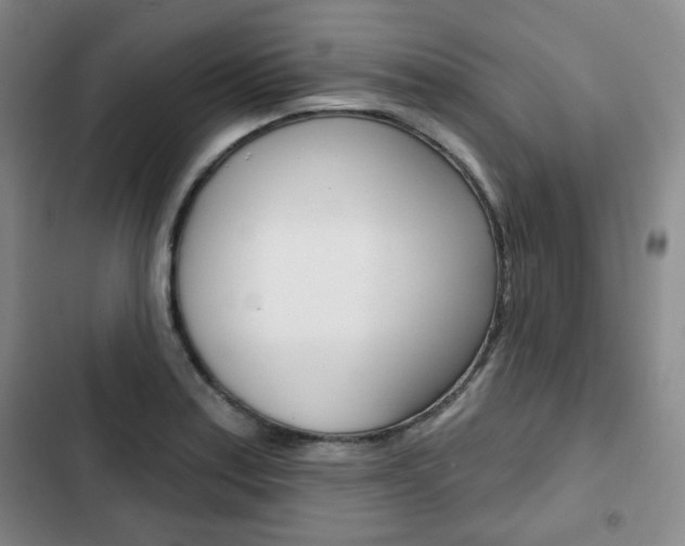 X0000103151179200808221121