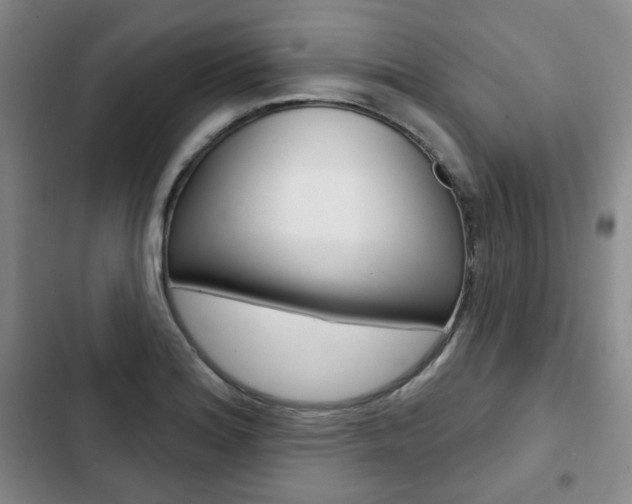 X0000103151180200808221121