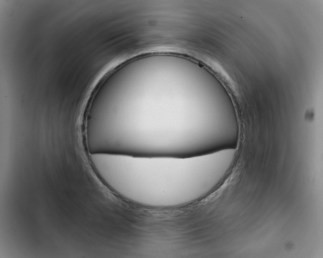 X0000103151181200808221121