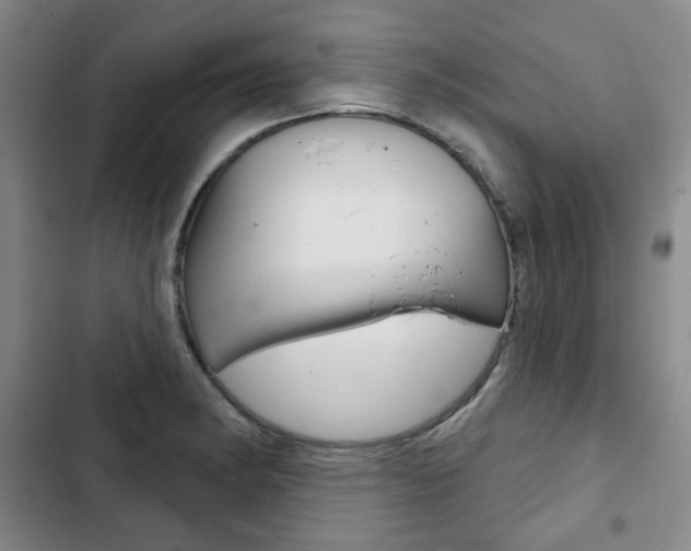 X0000103151182200808221121