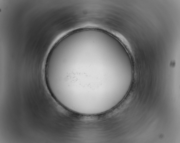 X0000103151183200808221121