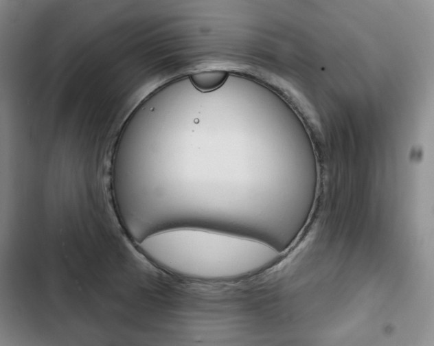 X0000103151185200808221121