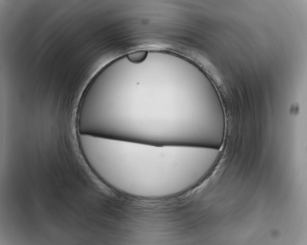 X0000103151186200808221121
