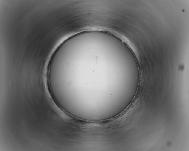 X0000103151187200808221121