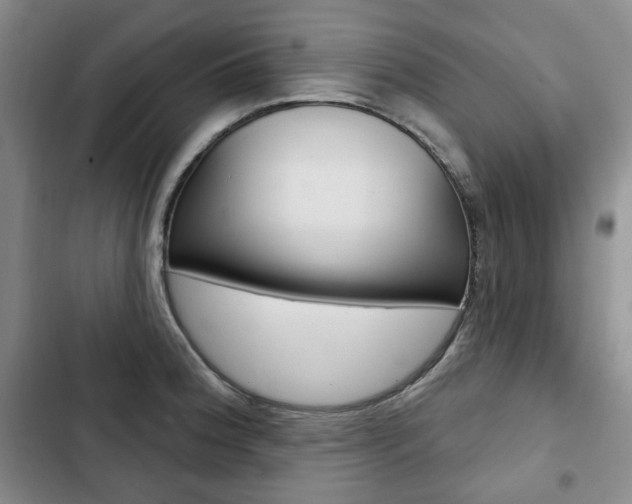 X0000103151188200808221121