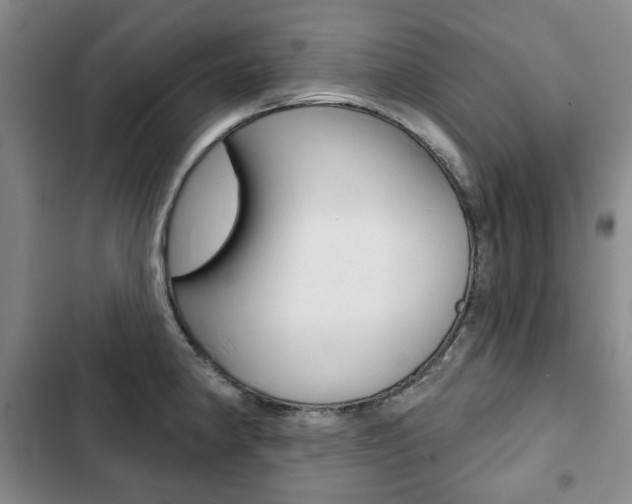 X0000103151190200808221121