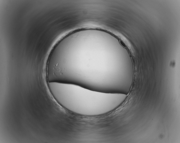 X0000103151191200808221121