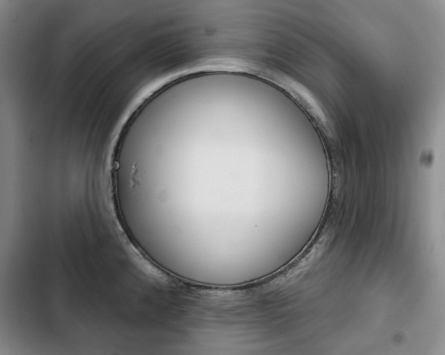 X0000103151192200808221121
