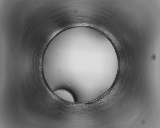 X0000103151193200808221121