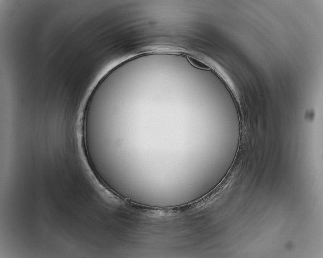 X0000103151195200808221121