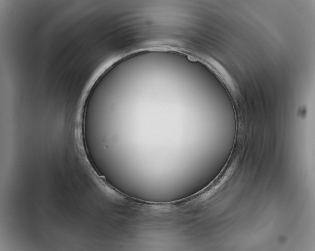 X0000103151196200808221121