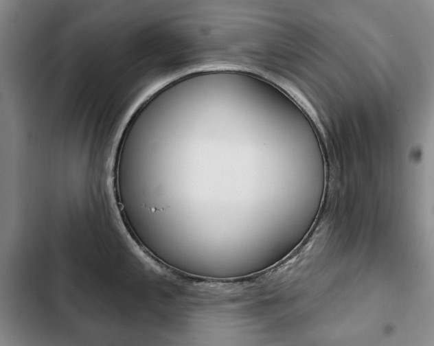 X0000103151197200808221121