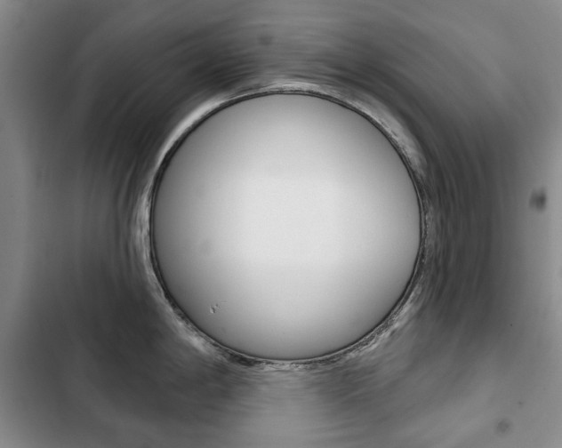 X0000103151198200808221121