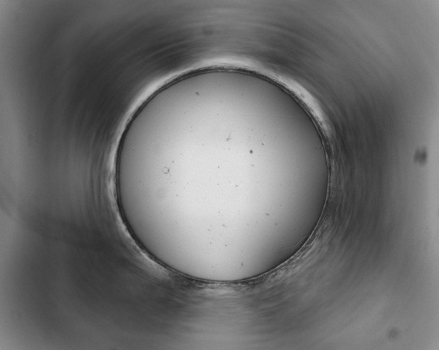 X0000103151199200808221121