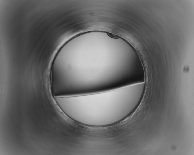 X0000103151200200808221121
