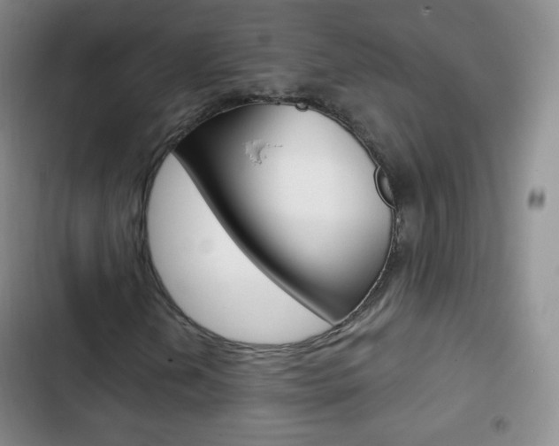 X0000103151202200808221120