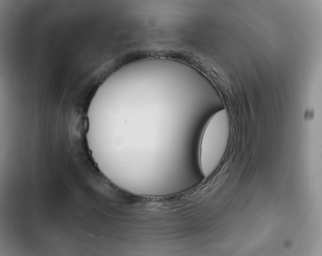 X0000103151204200808221120
