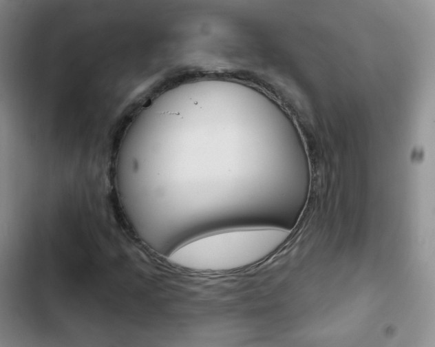 X0000103151205200808221120
