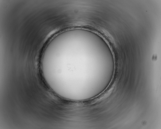 X0000103151210200808221120