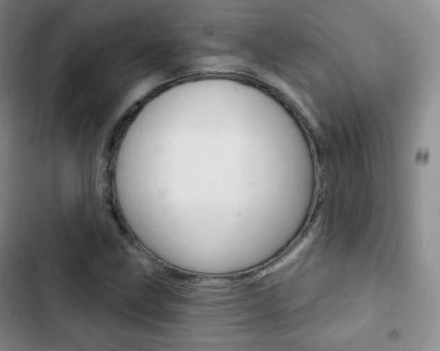 X0000103151211200808221120