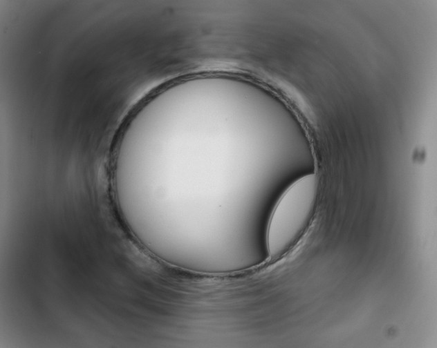 X0000103151212200808221120