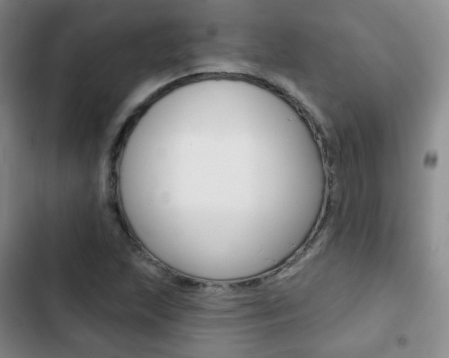 X0000103151215200808221120