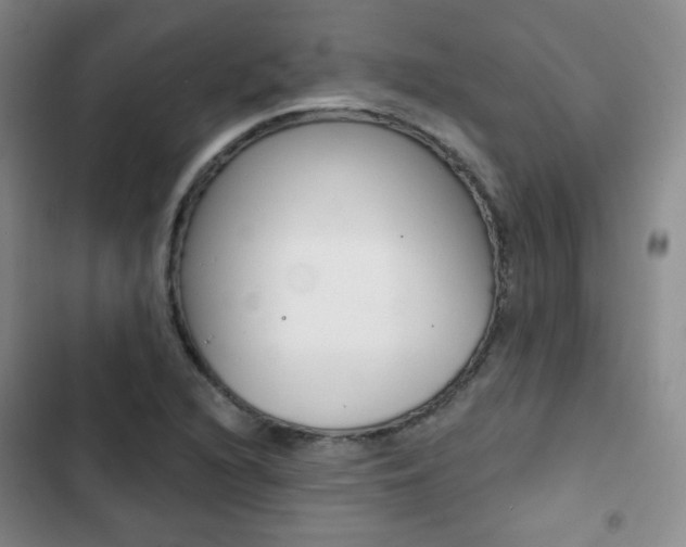 X0000103151216200808221120