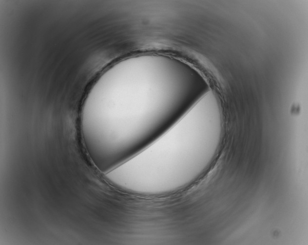X0000103151217200808221120