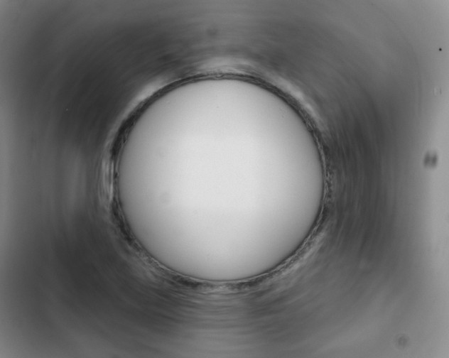 X0000103151219200808221120