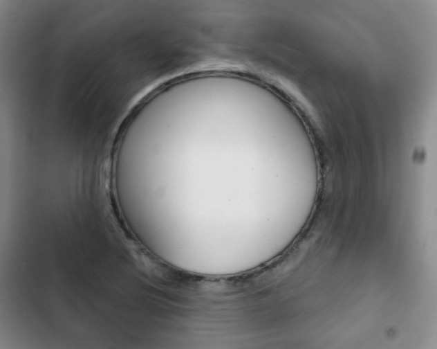 X0000103151220200808221120