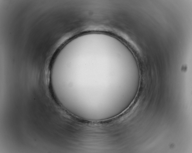 X0000103151221200808221120
