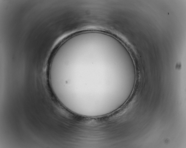 X0000103151222200808221120