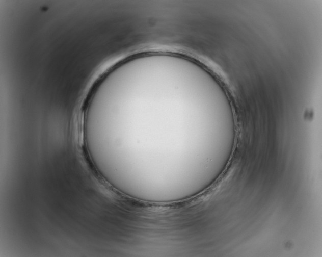 X0000103151223200808221120