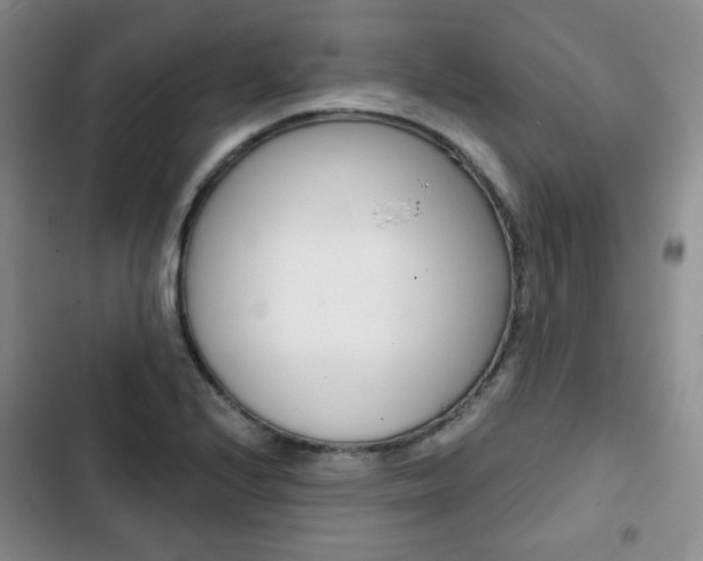 X0000103151224200808221120