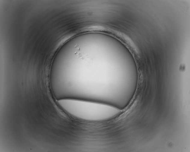 X0000103151225200808221120