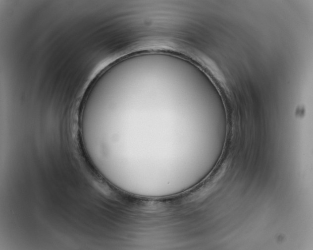 X0000103151226200808221120
