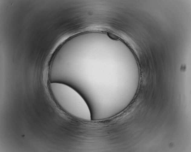 X0000103151227200808221120