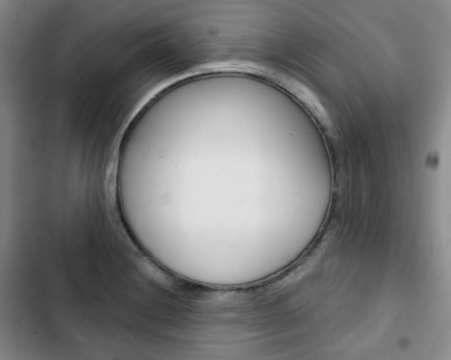X0000103151228200808221120